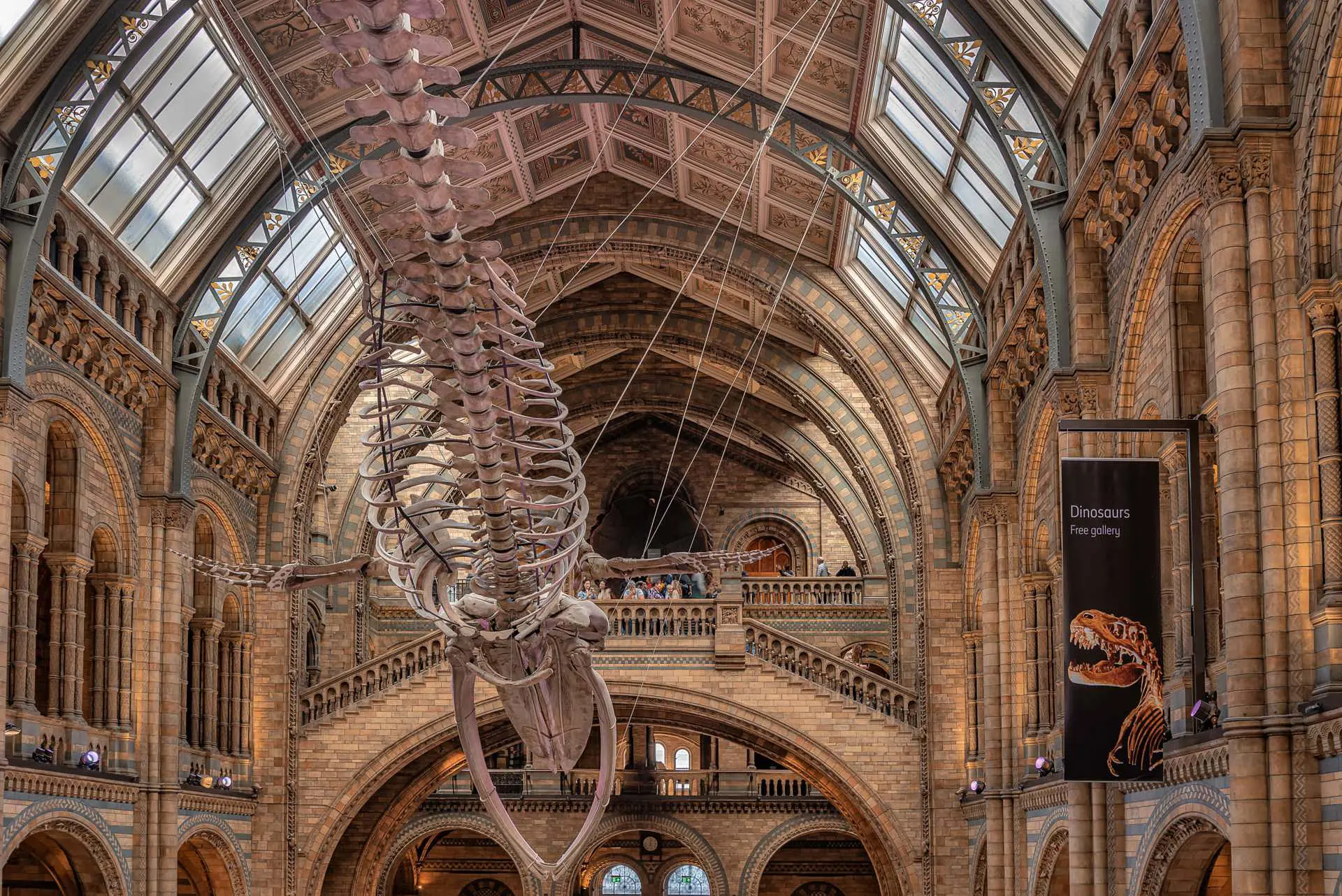 London Natural History Museum (1)